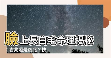 臉 白毛|臉上長白毛是怎麼回事